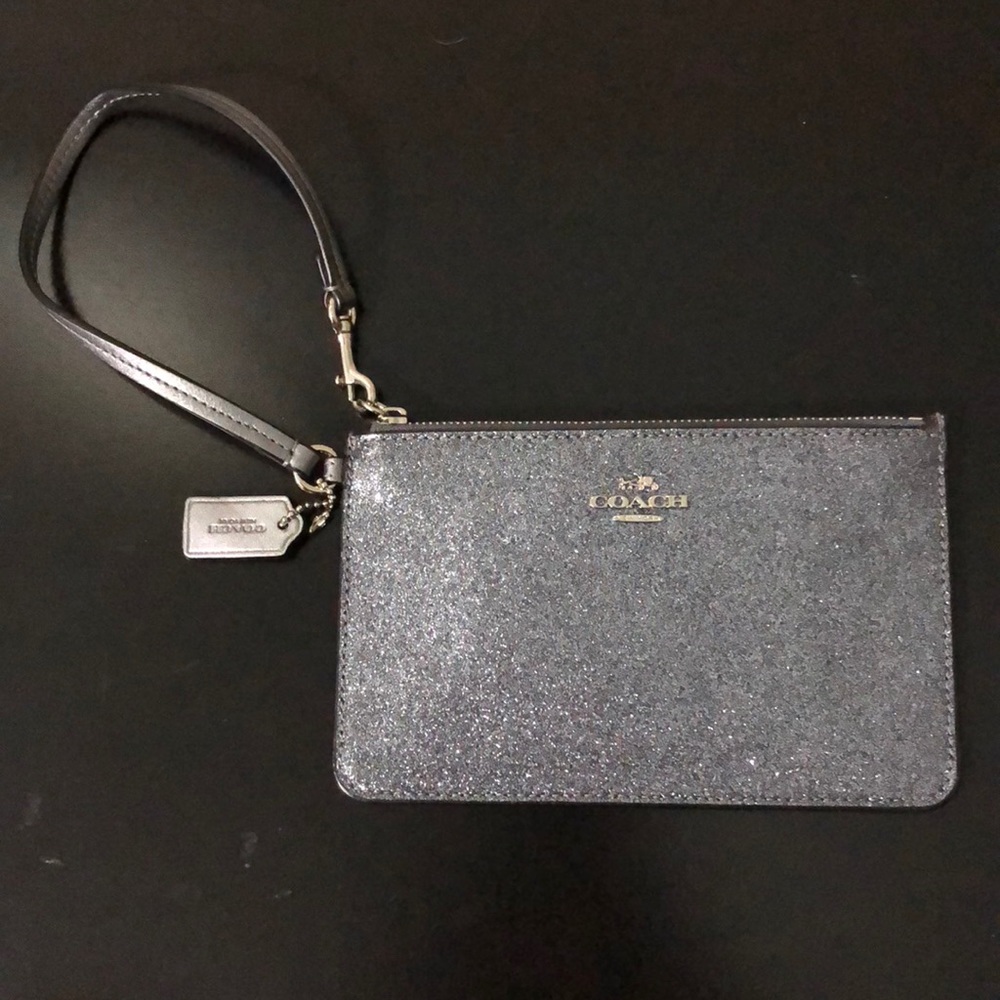 silver coach clutch